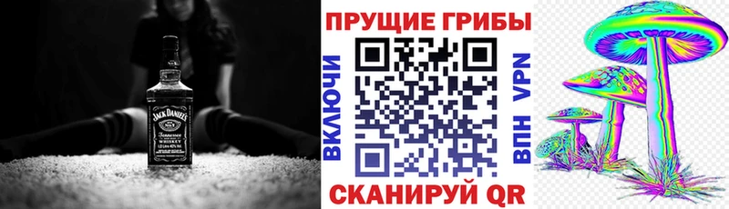цены наркотик  Тара  Псилоцибиновые грибы Psilocybine cubensis 
